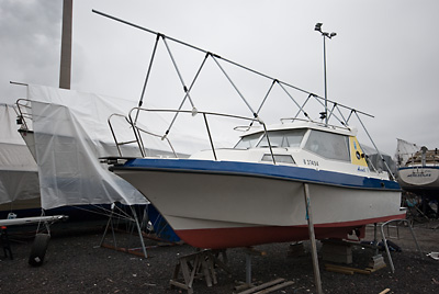Avanti kausi 2008